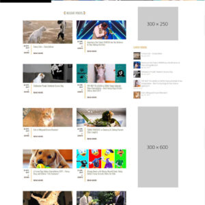 Pets Video Site